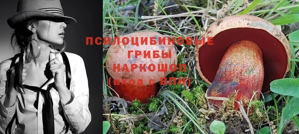 гидропоника Аркадак