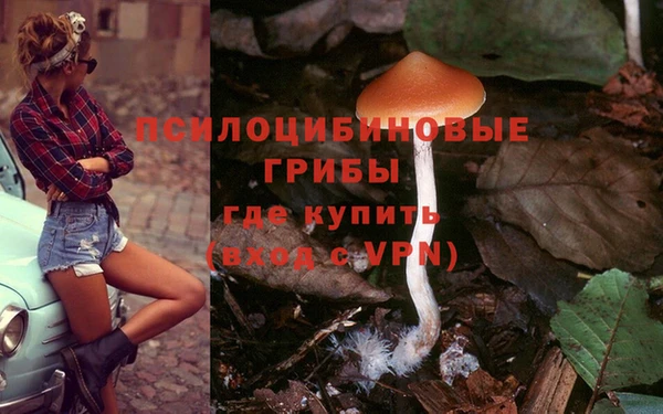 гидропоника Аркадак